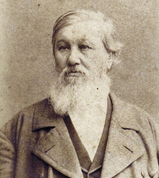 Данилевский Николай Яковлевич (1822-1885)